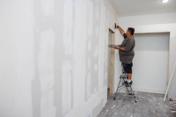 Best HVAC Mold Inspection and Cleaning  in Dixon, KY