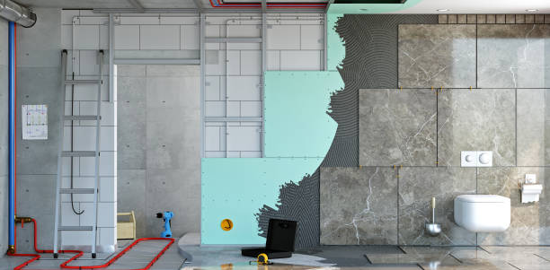 Best Attic Mold Removal  in Dixon, KY