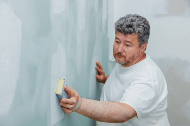 Best Forensic Mold Investigation  in Dixon, KY