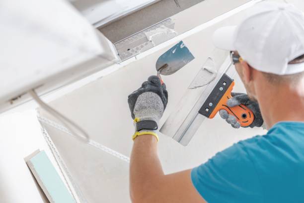 Best Commercial Mold Inspection  in Dixon, KY